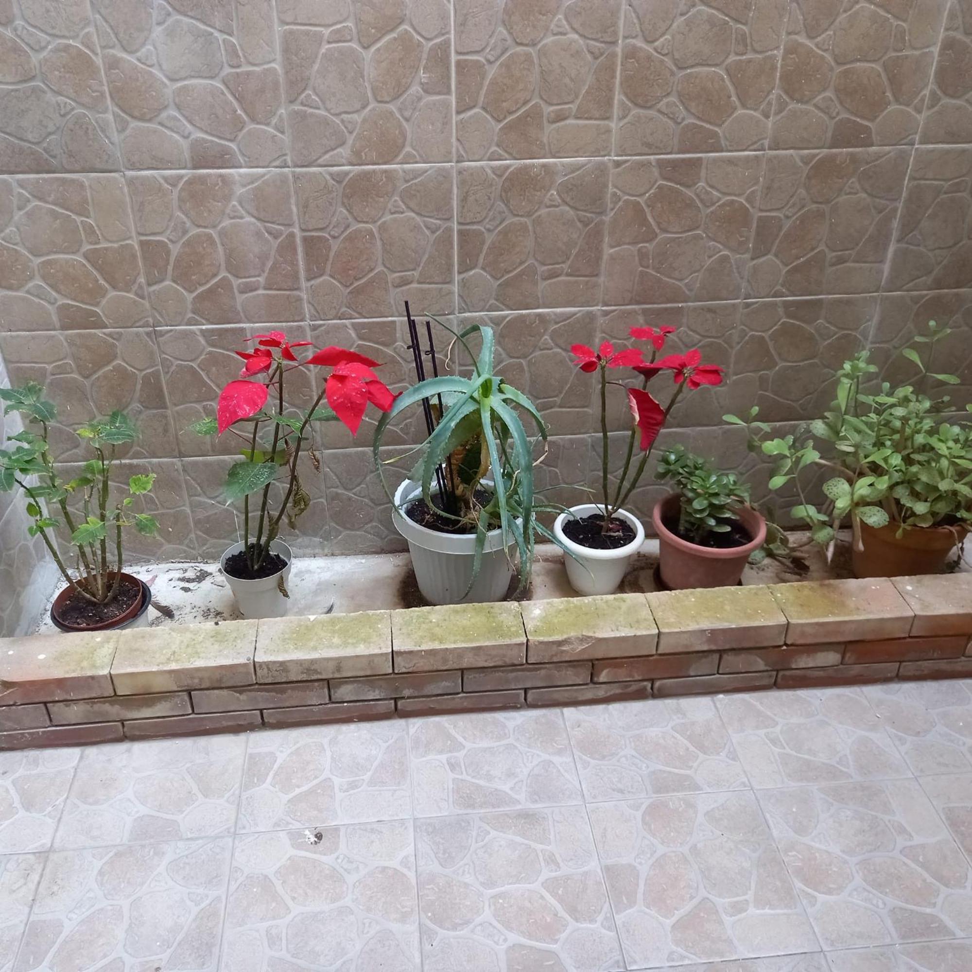 Apartmán A Casa Di Lori Palermo Exteriér fotografie